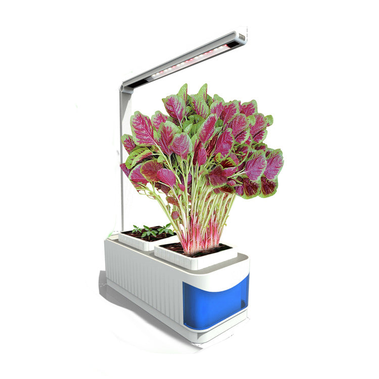 Intelligent Plant Growth Light